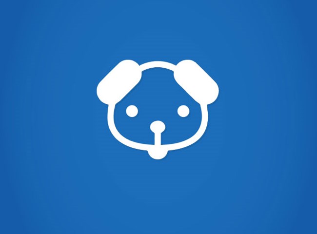 How to Select a Good Puppy School