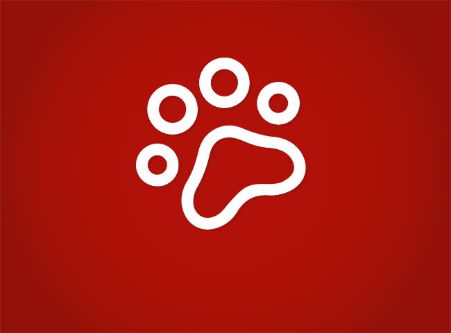 All About Puppies