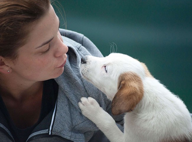How to be a responsible puppy parent